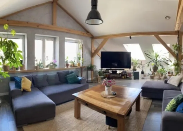 Zeromskiego Apartament